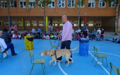 Taller de los Sentidos en 1º de Primaria