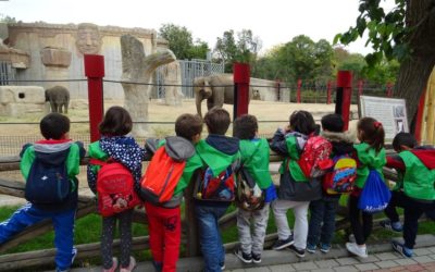 Nos vamos al Zoo