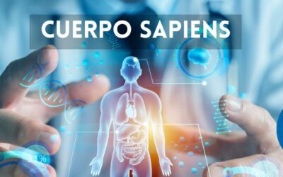 Cuerpo Sapiens FM